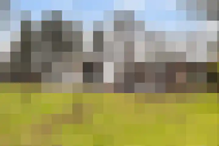 Holtlaan 283 Emmen thumbnail 43
