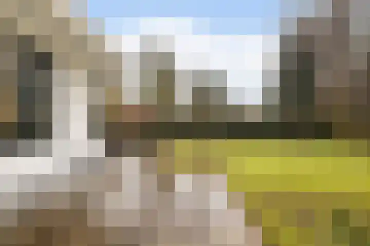 Holtlaan 283 Emmen thumbnail 45