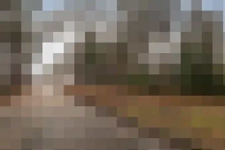 Holtlaan 283 Emmen thumbnail 8