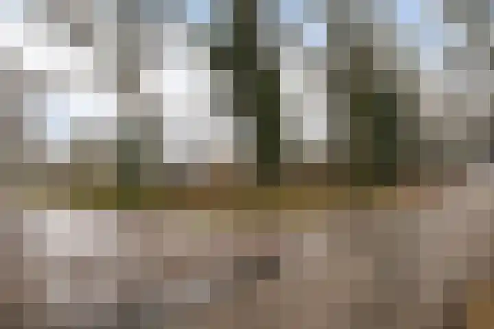 Holtlaan 283 Emmen thumbnail 9