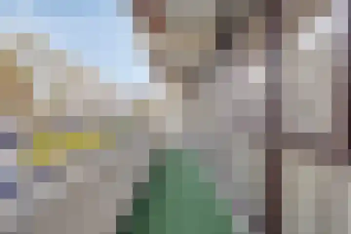 Holtlaan 93 Emmen thumbnail 10