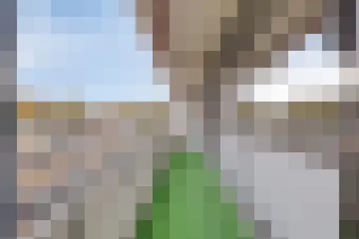 Holtlaan 93 Emmen thumbnail 16
