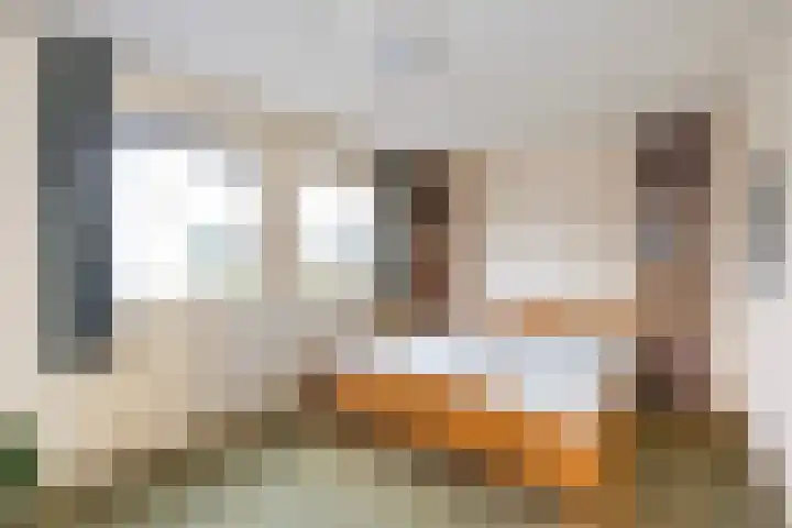 Holtmate 14 Zwolle thumbnail 15