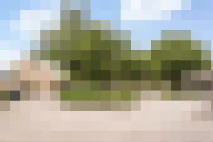 Holtmate 14 Zwolle thumbnail 34