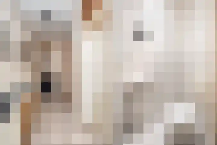 Holtmate 14 Zwolle thumbnail 4