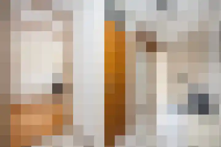 Holtmate 14 Zwolle thumbnail 5