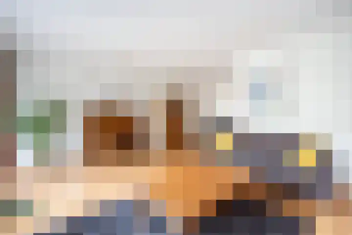 Holtmate 14 Zwolle thumbnail 8