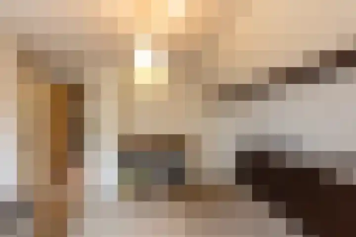 Holtplas 26 Neede thumbnail 22