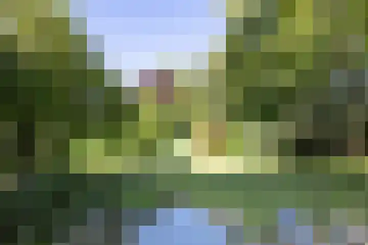 Holtplas 26 Neede thumbnail 33