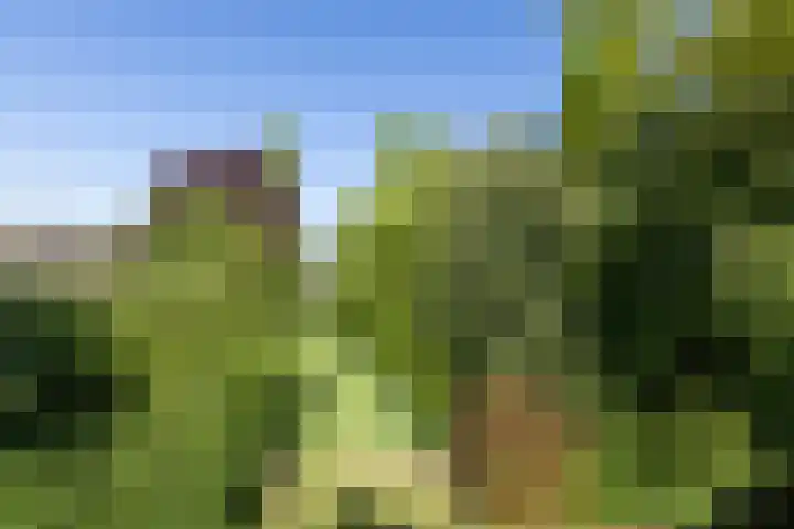 Holtplas 26 Neede thumbnail 34