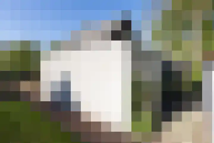 Holtplas 26 Neede thumbnail 37