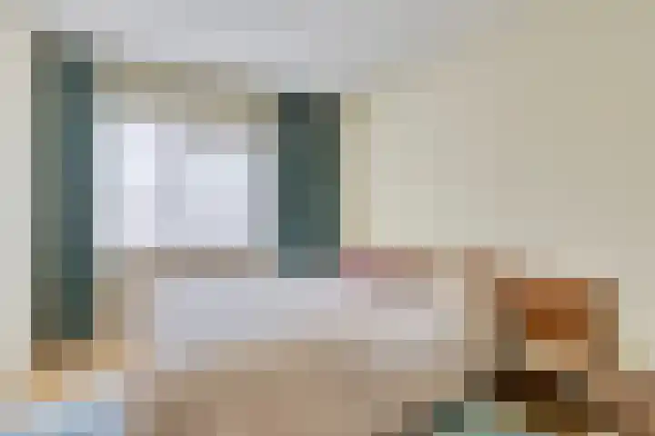 Holtwal 3 Gieten thumbnail 21