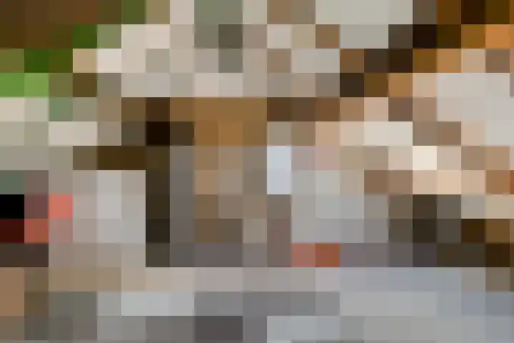 Holtwal 3 Gieten thumbnail 27