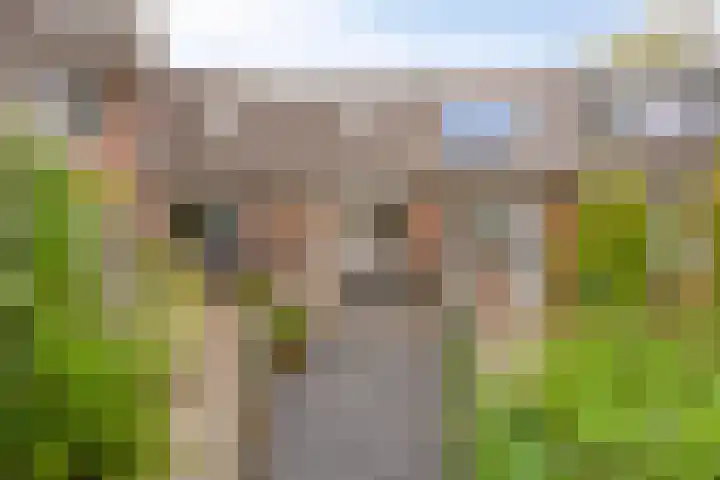 Holtwiklanden 157 Enschede thumbnail 21