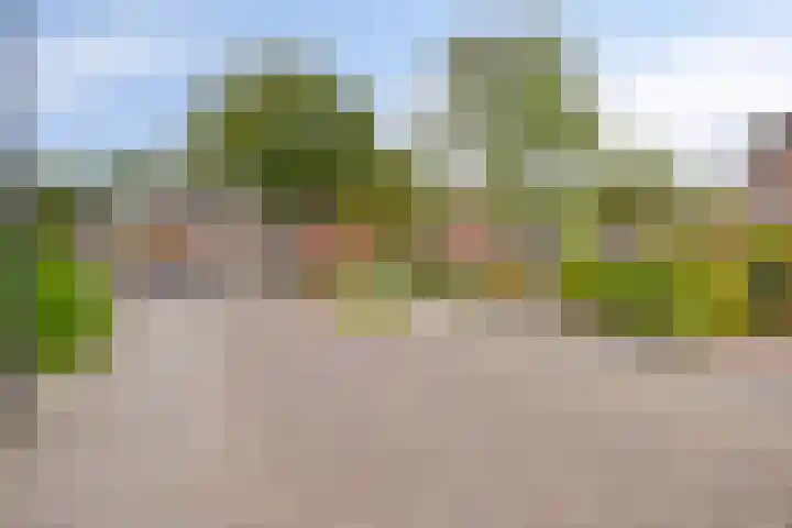 Holtwiklanden 157 Enschede thumbnail 24