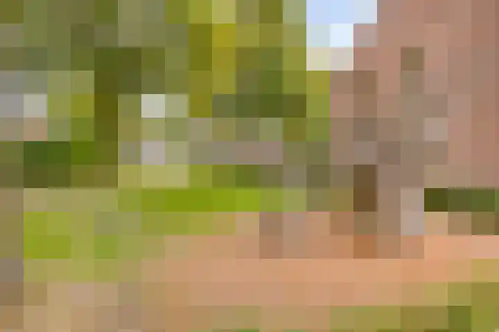 Holtwiklanden 157 Enschede thumbnail 26