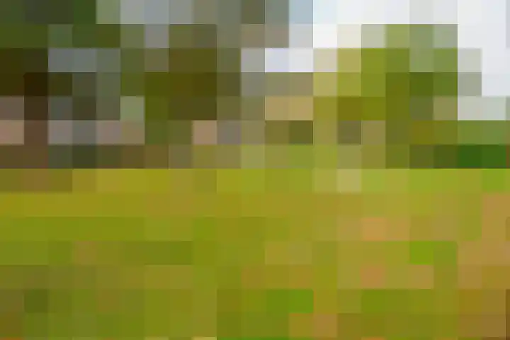 Holtwiklanden 91 Enschede thumbnail 33