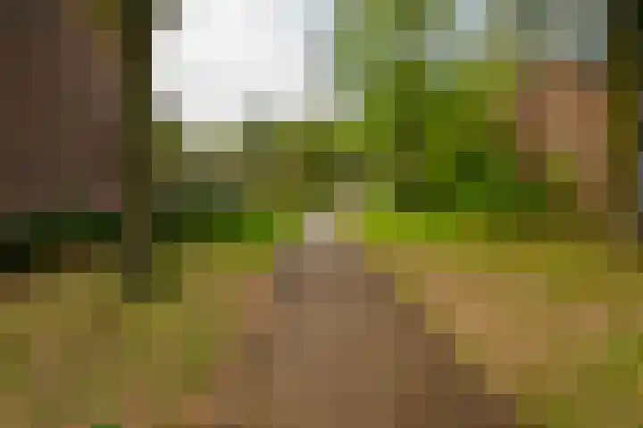 Holtwiklanden 91 Enschede thumbnail 35