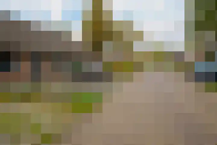Holtwiklanden 91 Enschede thumbnail 6