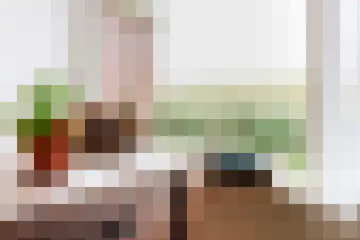 Holwerterdyk 17 Ternaard thumbnail 18