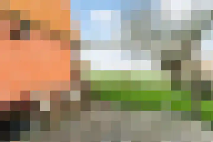Holwerterdyk 17 Ternaard thumbnail 24