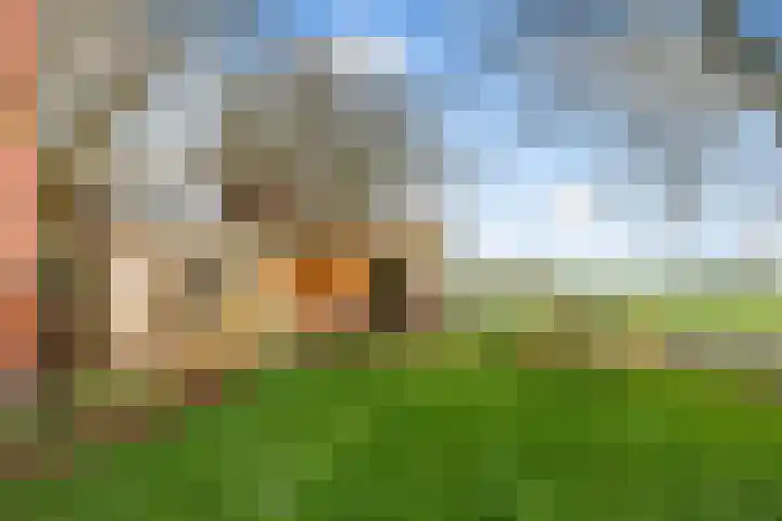 Holwerterdyk 17 Ternaard thumbnail 25