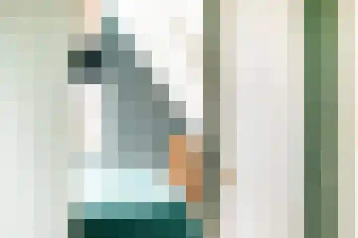 Holwerterdyk 17 Ternaard thumbnail 38