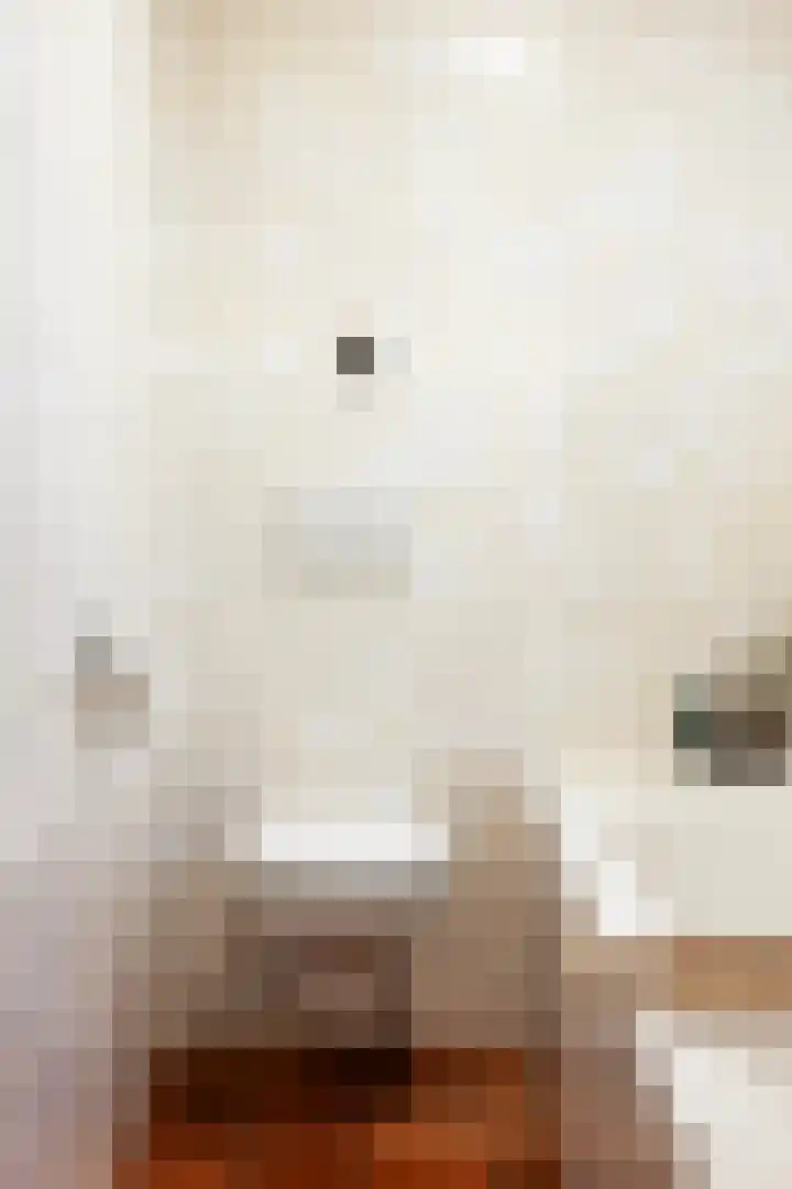 Holwerterdyk 17 Ternaard thumbnail 46