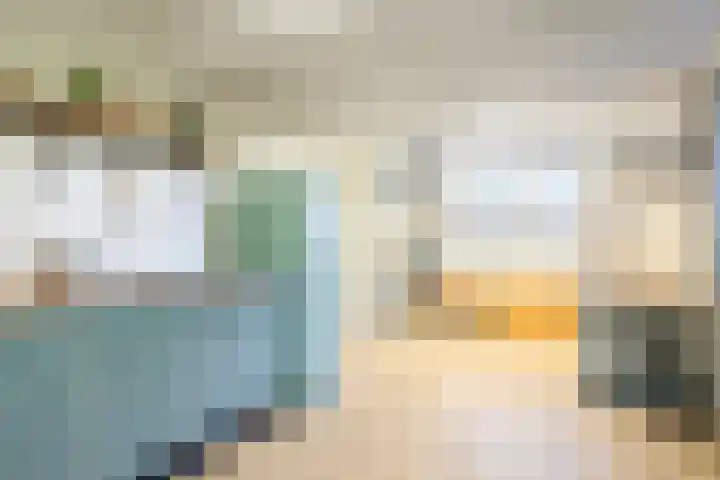 Holwerterdyk 17 Ternaard thumbnail 47