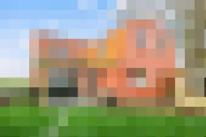 Holwerterdyk 17 Ternaard thumbnail 49