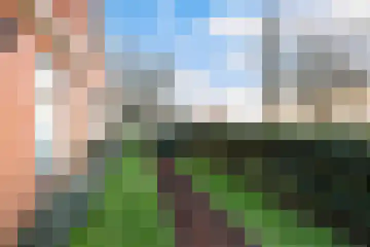 Holwerterdyk 17 Ternaard thumbnail 53