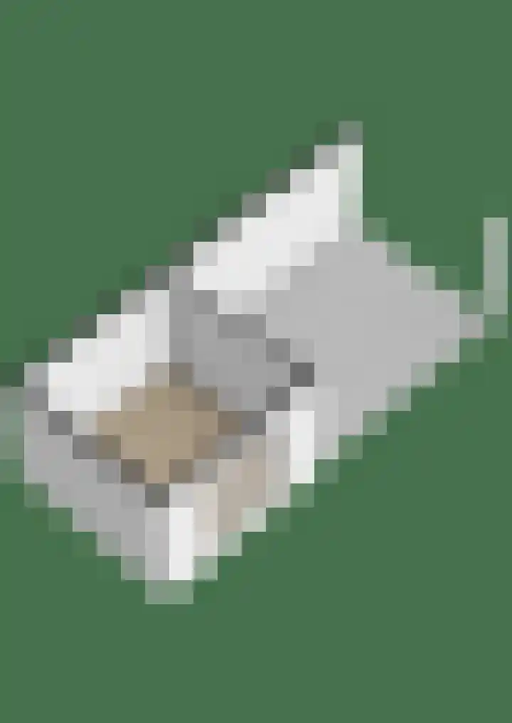 Holwerterdyk 17 Ternaard thumbnail 60