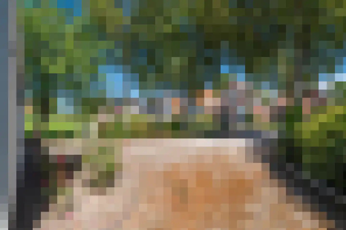 Holwierderweg 1 Appingedam thumbnail 10