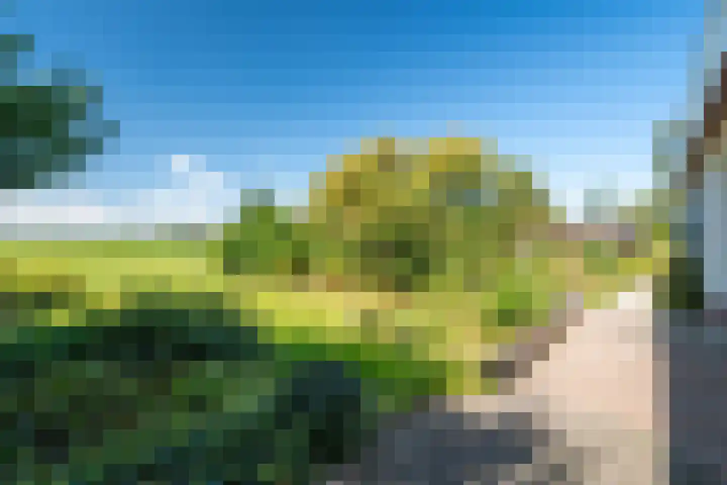 Holwierderweg 1 Appingedam thumbnail 5