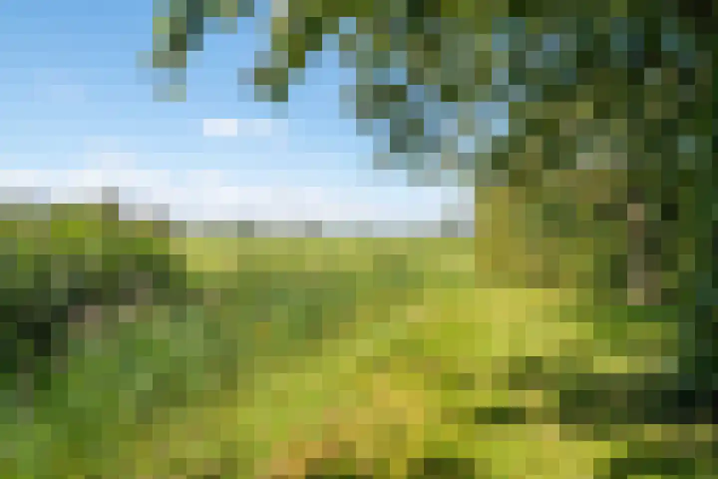 Holwierderweg 1 Appingedam thumbnail 51