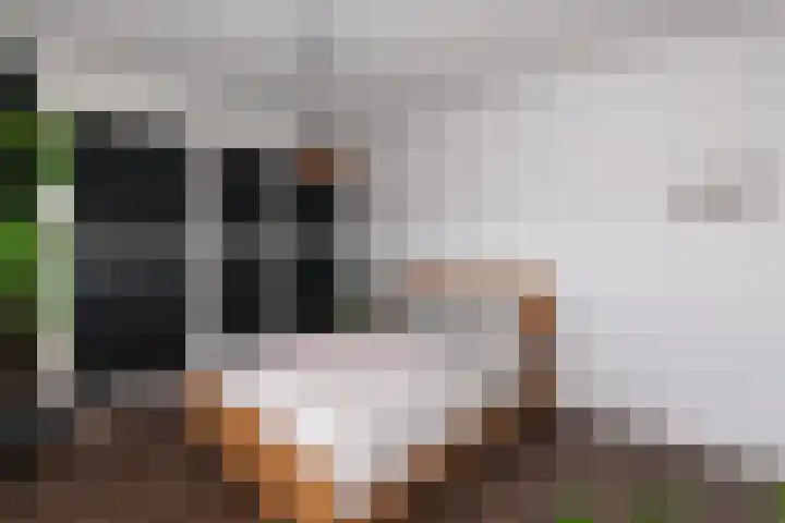 Holysingel 242 Vlaardingen thumbnail 28