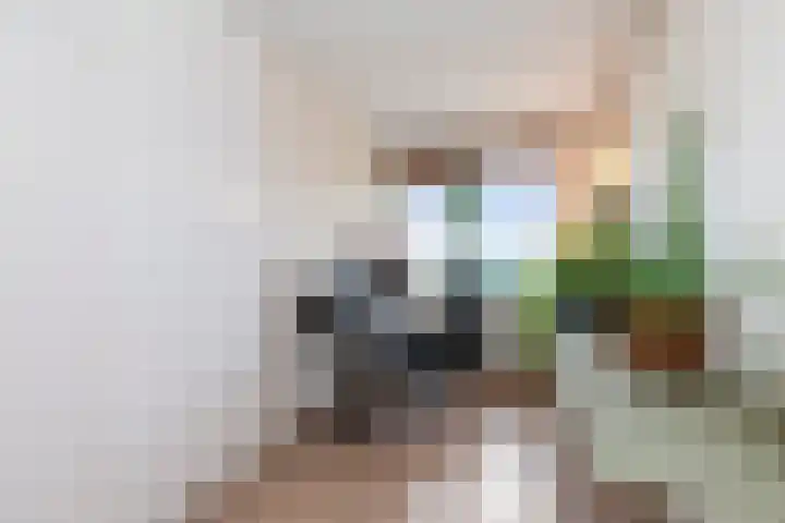Holysingel 242 Vlaardingen thumbnail 33