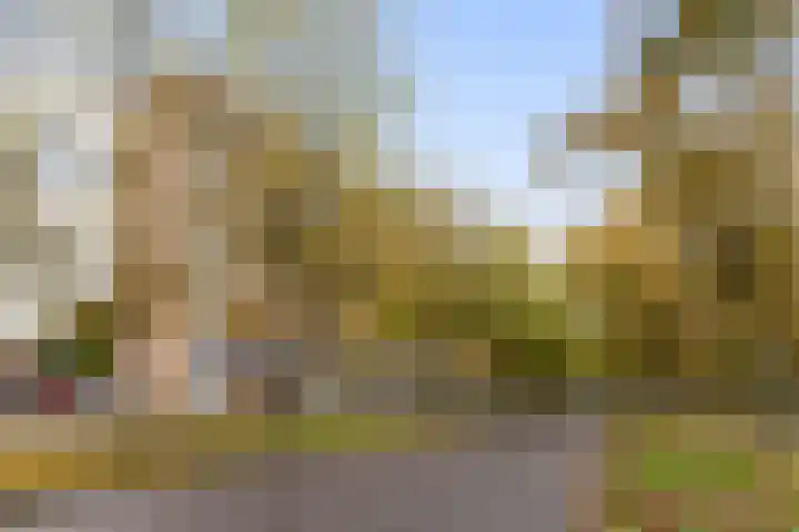 Holysingel 242 Vlaardingen thumbnail 40