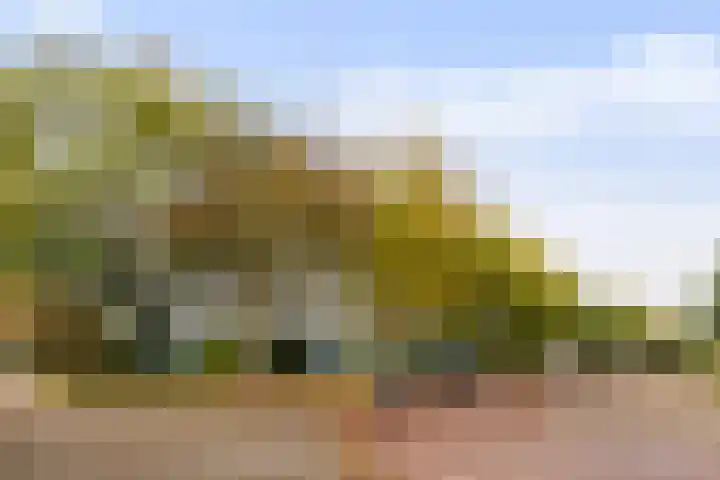 Holysingel 242 Vlaardingen thumbnail 41