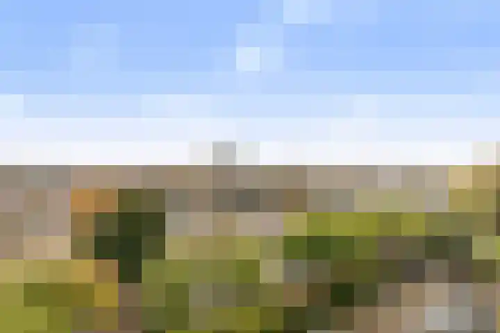 Holysingel 242 Vlaardingen thumbnail 9