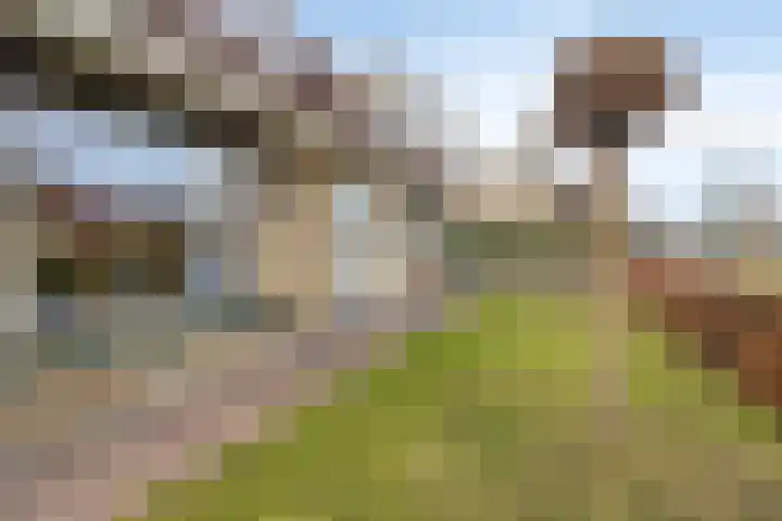 Holzik Es 21 Enschede thumbnail 11