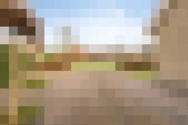 Holzik Es 21 Enschede thumbnail 60