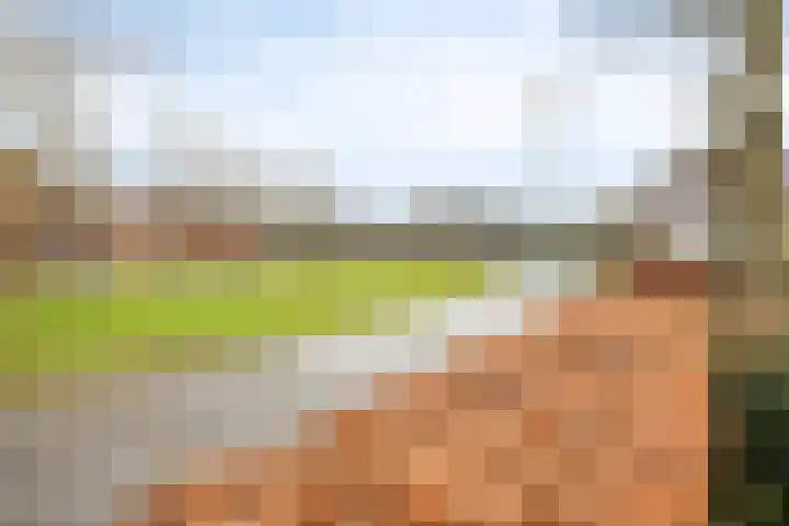 Holzik Es 21 Enschede thumbnail 61