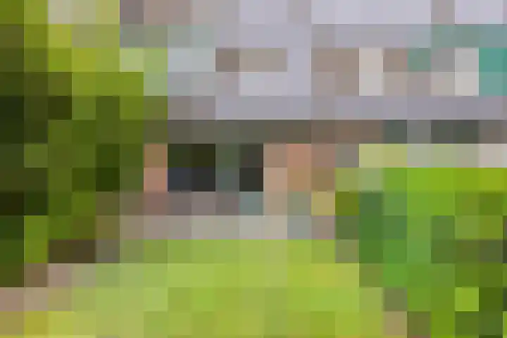 Hommel 32 Soest thumbnail 27