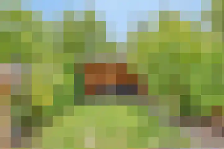 Hommel 32 Soest thumbnail 29