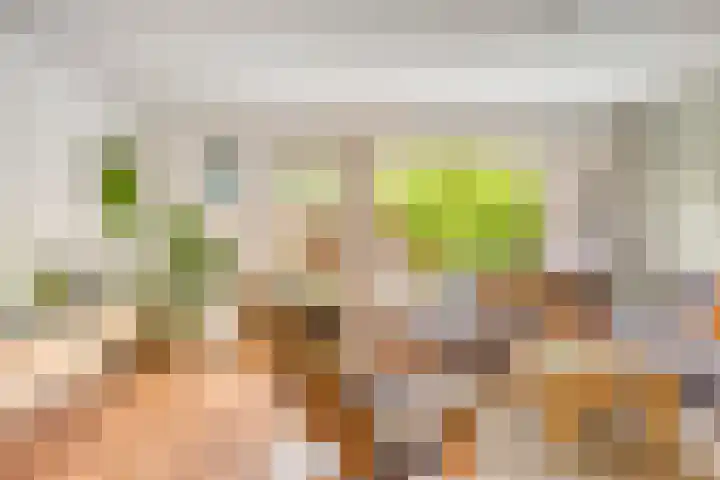 Hommel 32 Soest thumbnail 5