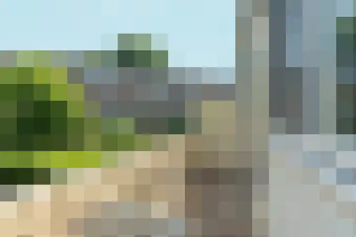 Hommelseweg 242 Arnhem thumbnail 17