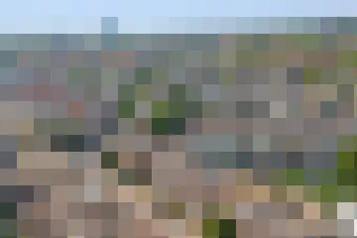 Hommelseweg 247 Arnhem thumbnail 38