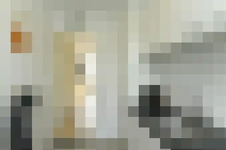 Hommelseweg 257 Arnhem thumbnail 17