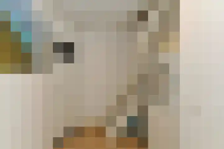 Hommelseweg 257 Arnhem thumbnail 18